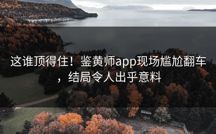 这谁顶得住！鉴黄师app现场尴尬翻车，结局令人出乎意料