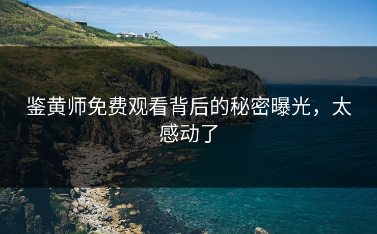 鉴黄师免费观看背后的秘密曝光，太感动了