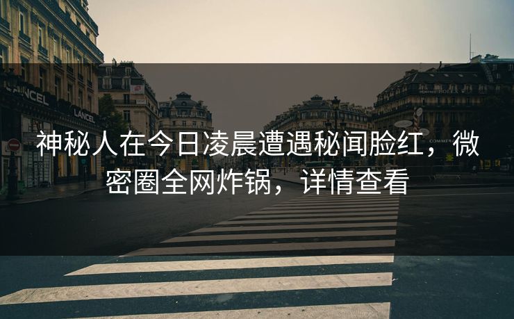 神秘人在今日凌晨遭遇秘闻脸红，微密圈全网炸锅，详情查看