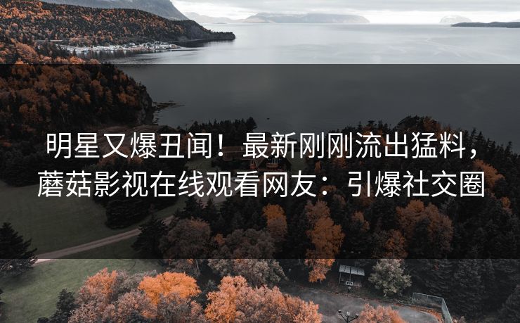 明星又爆丑闻！最新刚刚流出猛料，蘑菇影视在线观看网友：引爆社交圈