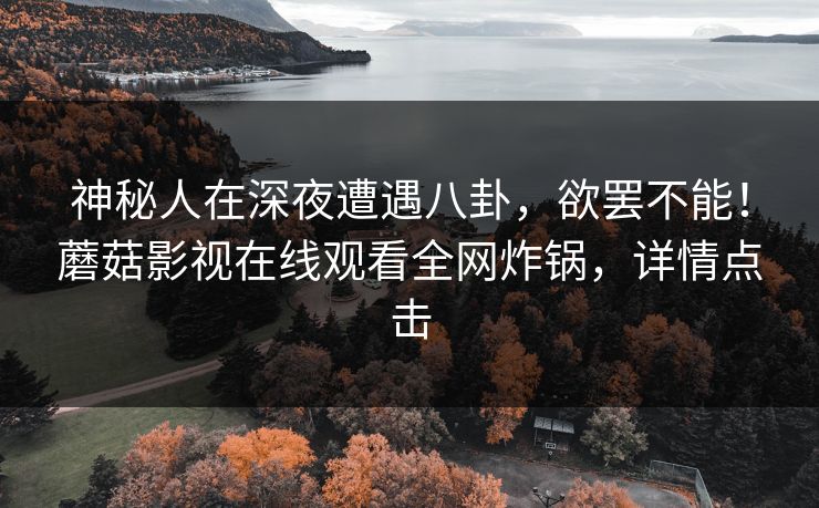 神秘人在深夜遭遇八卦，欲罢不能！蘑菇影视在线观看全网炸锅，详情点击