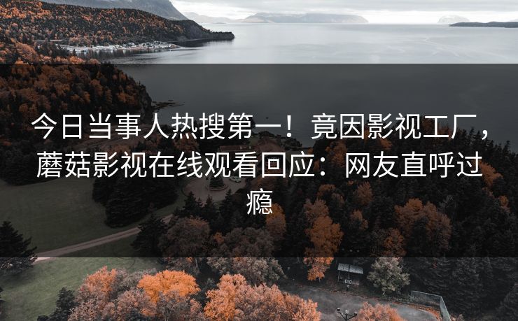 今日当事人热搜第一！竟因影视工厂，蘑菇影视在线观看回应：网友直呼过瘾
