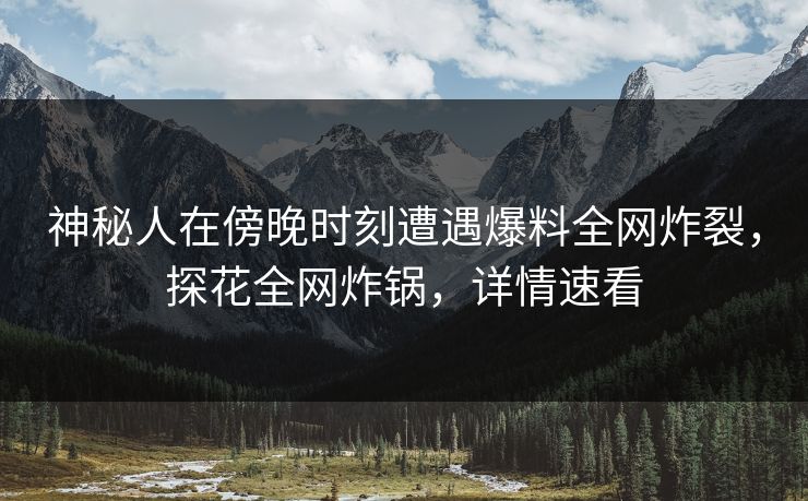 神秘人在傍晚时刻遭遇爆料全网炸裂，探花全网炸锅，详情速看